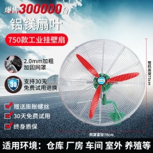 750款工業(yè)掛壁扇-工業(yè)電風(fēng)扇強(qiáng)力落地扇大風(fēng)量牛角扇商用機(jī)械大功率車(chē)間工廠壁掛扇
